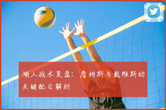 湖人战术复盘:詹姆斯与戴维斯的关键配合解析